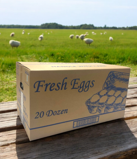 Pre Packed Very Large Free Range Eggs - 20 Dozen