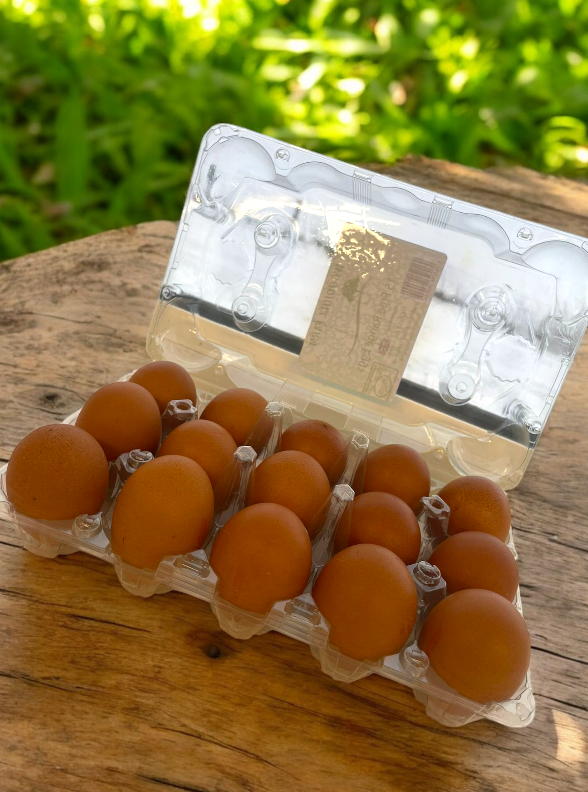 Mixed Weight Pre Packed Free Range Eggs - 20 Dozen