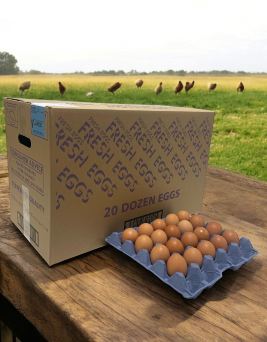 Very Large Free Range Egg Trays - 20 Dozen