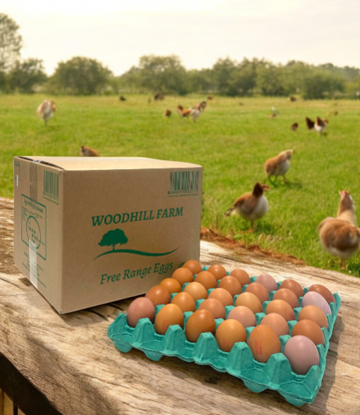 Medium Free Range Eggs - 120 eggs