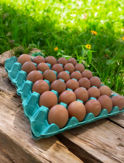 Medium Free Range Eggs - 120 eggs