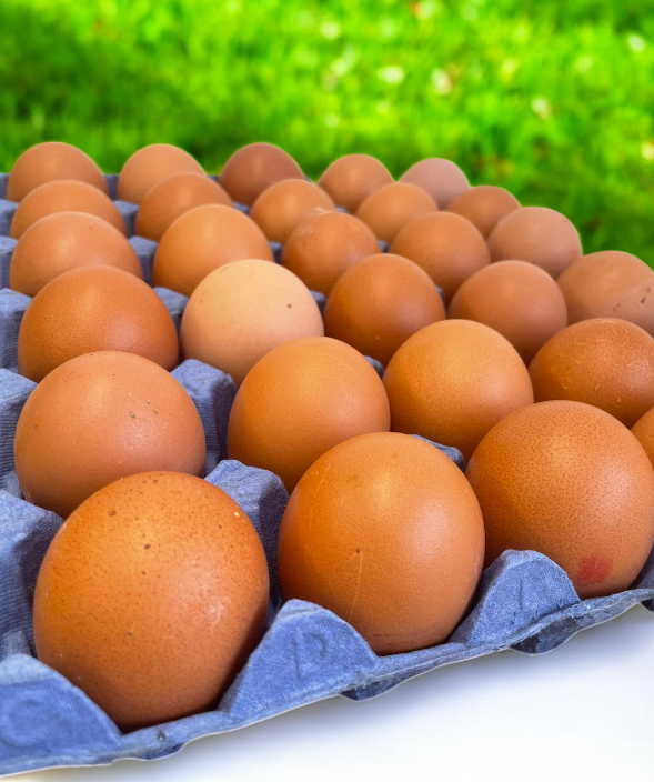 Large Free Range Eggs