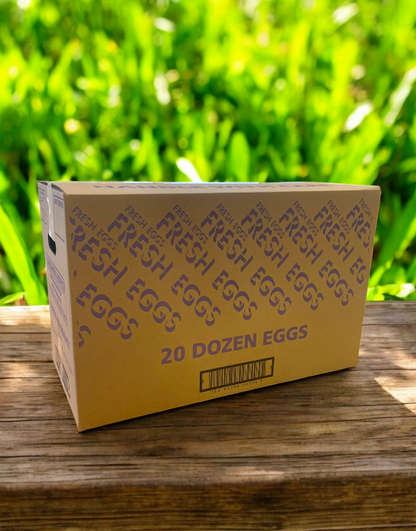 Very Large Free Range Egg Trays - 20 Dozen
